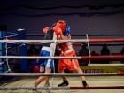 Campionat National de Box