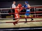 Campionat National de Box