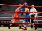 Campionat National de Box