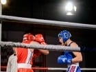 Campionat National de Box