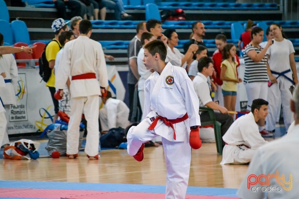 Campionat Naţional de Karate, Arena Antonio Alexe