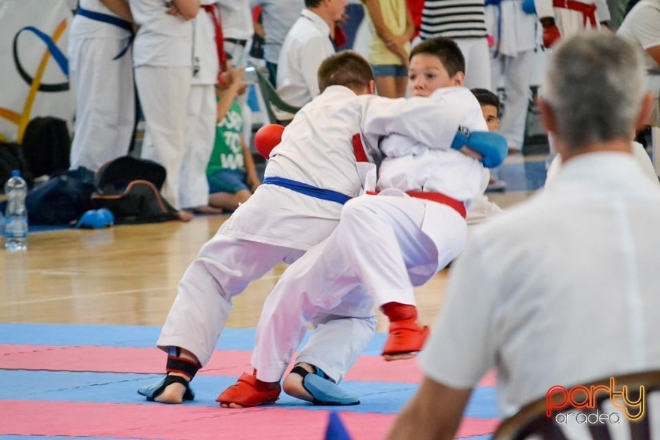 Campionat Naţional de Karate, Arena Antonio Alexe