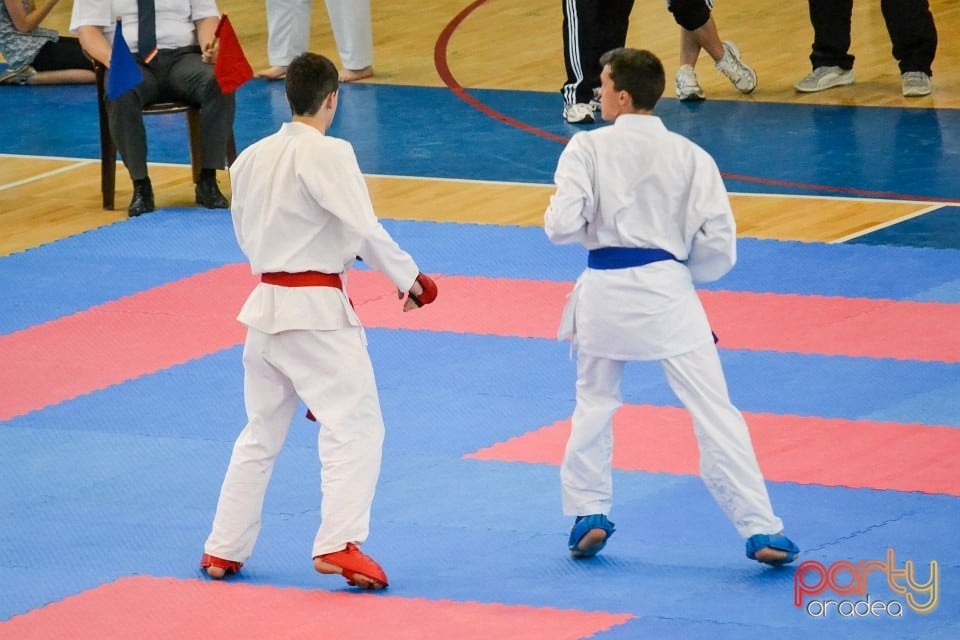 Campionat Naţional de Karate, Arena Antonio Alexe