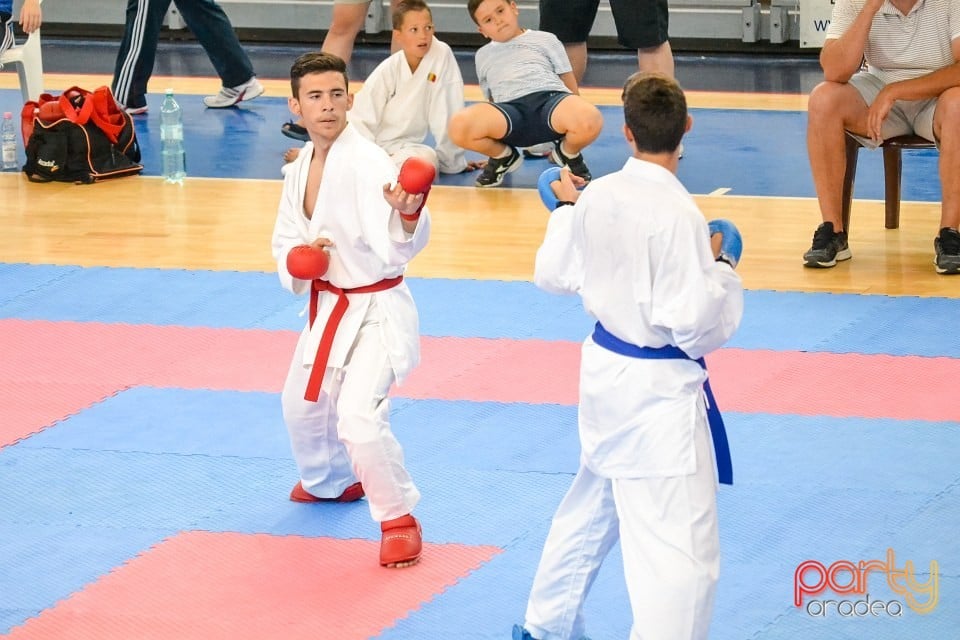 Campionat Naţional de Karate, Arena Antonio Alexe