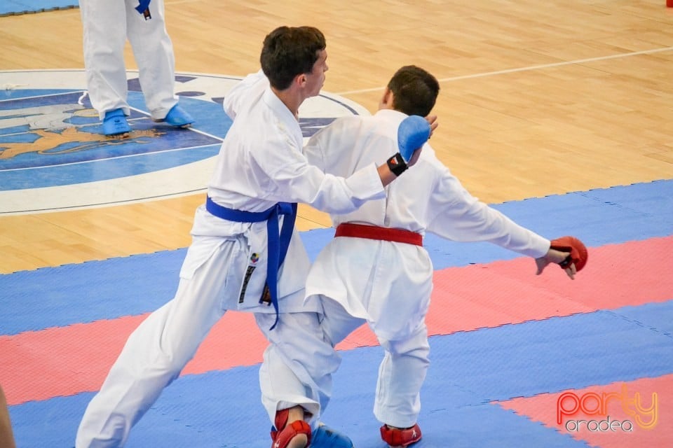 Campionat Naţional de Karate, Arena Antonio Alexe
