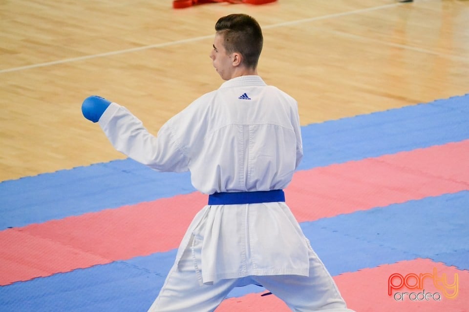 Campionat Naţional de Karate, Arena Antonio Alexe