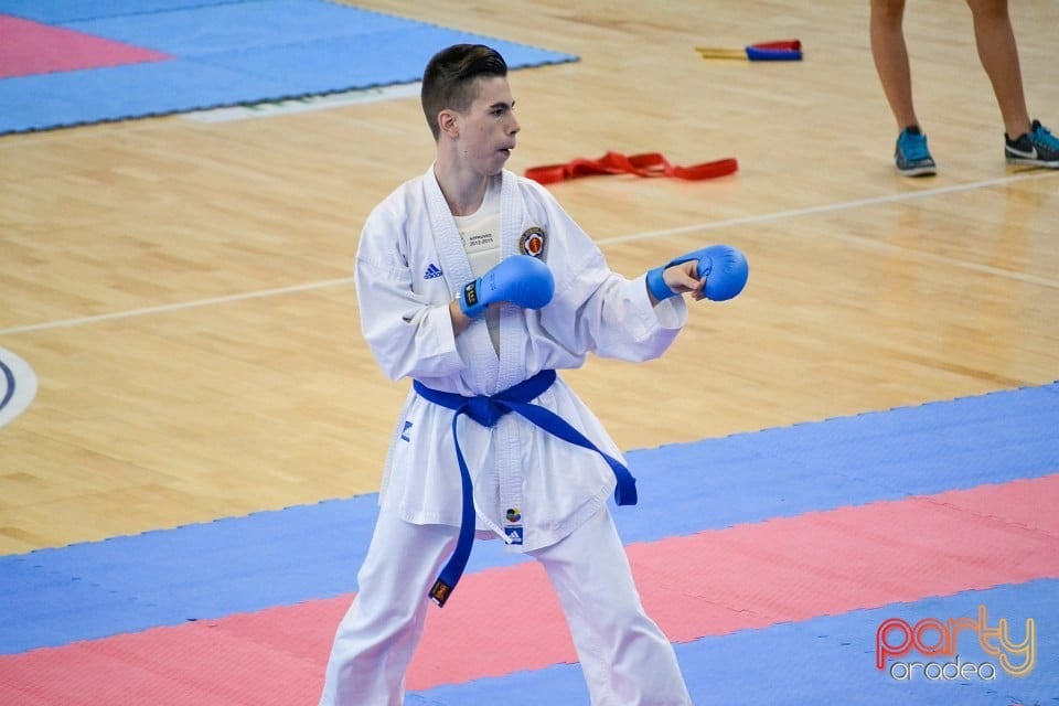 Campionat Naţional de Karate, Arena Antonio Alexe