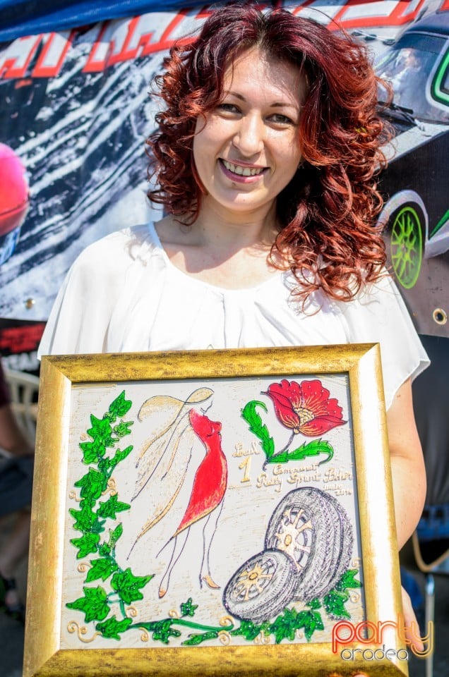 Campionat Rally Sprint, Campionat Rally Sprint Bihor
