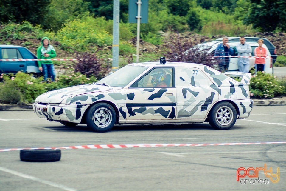 Campionat Rally Sprint, Campionat Rally Sprint Bihor