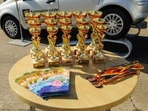 Campionat Rally Sprint