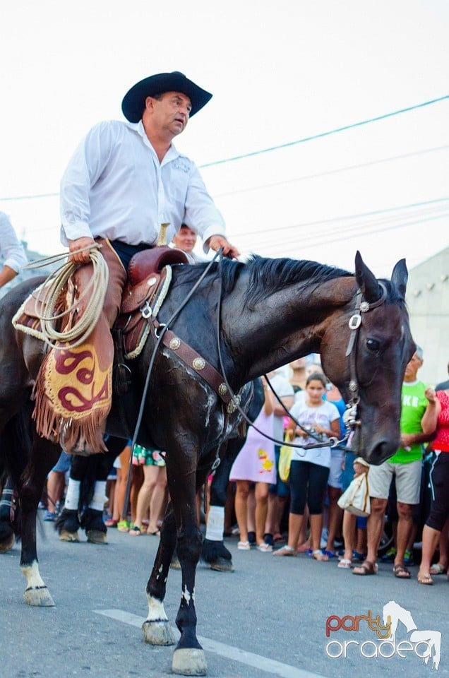 Campionatul European de Rodeo, Băile Felix