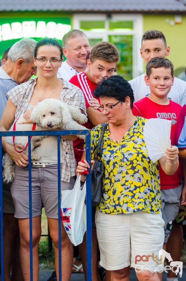 Campionatul European de Rodeo, Băile Felix