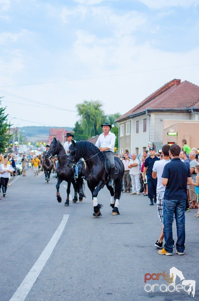 Campionatul European de Rodeo, Băile Felix