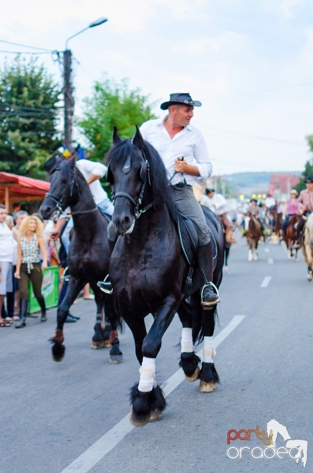 Campionatul European de Rodeo, Băile Felix