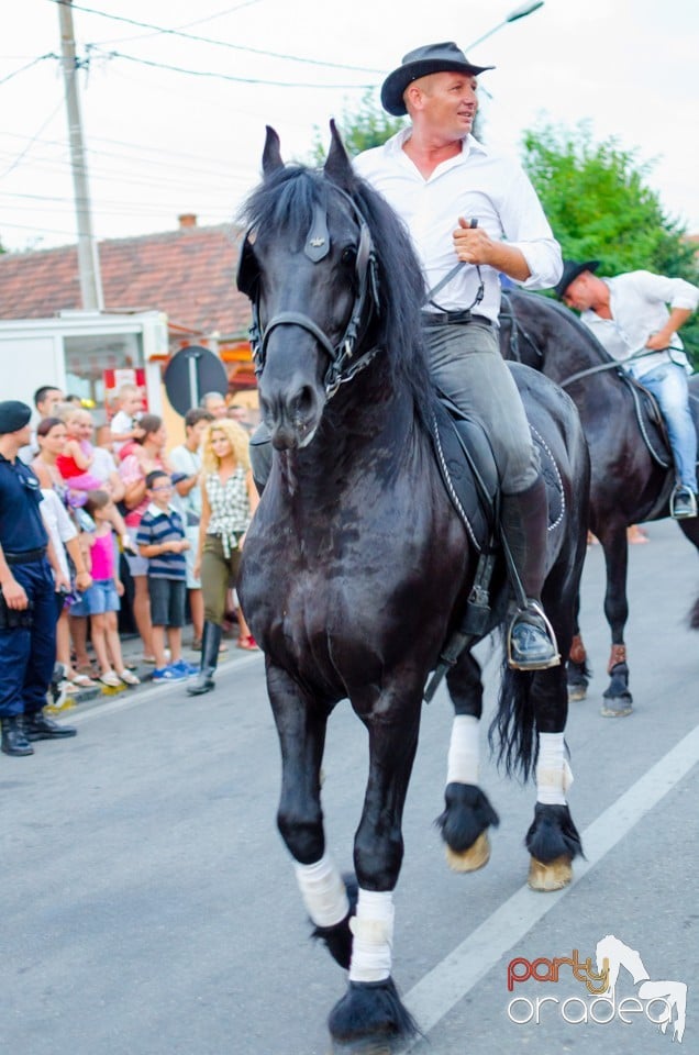 Campionatul European de Rodeo, Băile Felix