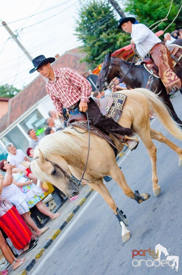 Campionatul European de Rodeo, Băile Felix