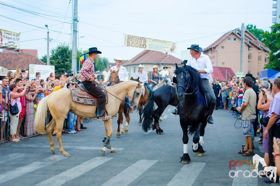 Campionatul European de Rodeo, Băile Felix