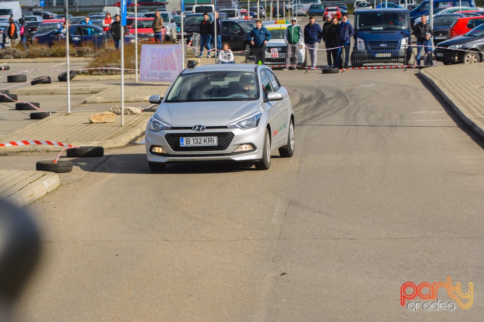 Campionatul Rally Sprint Bihor 2017 Etapa 1, 