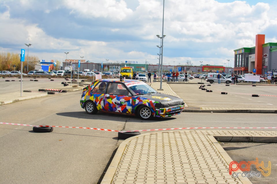 Campionatul Rally Sprint Bihor 2017 Etapa 1, 