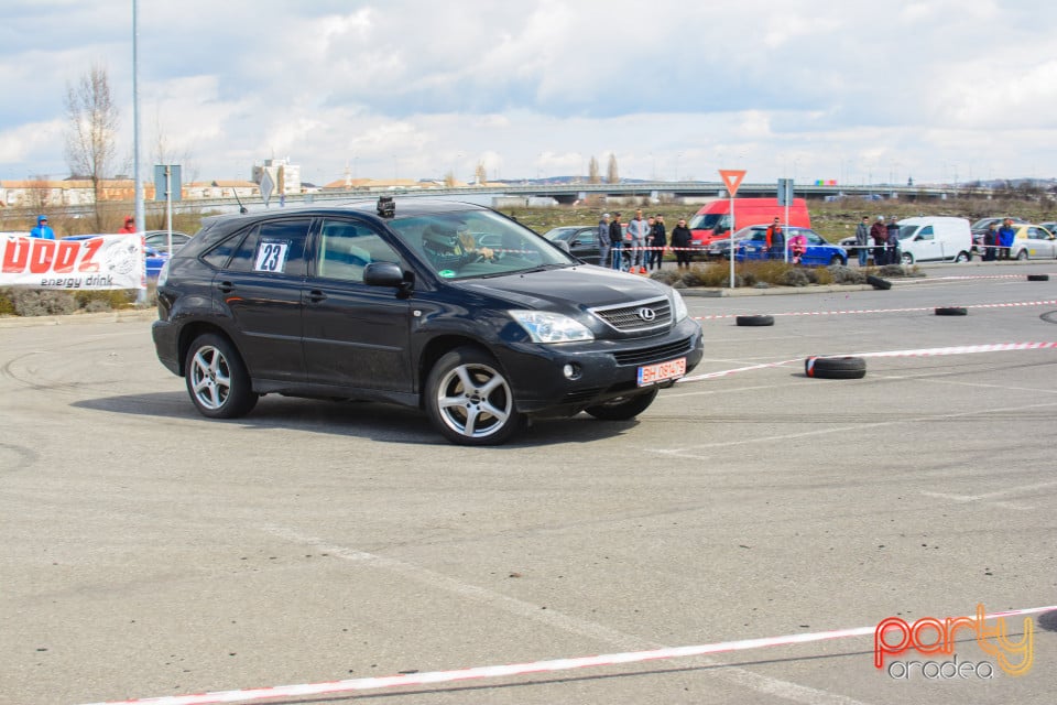 Campionatul Rally Sprint Bihor 2017 Etapa 1, 