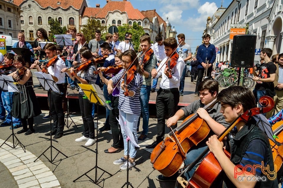 Carnaval european pe străzile Oradiei, Oradea