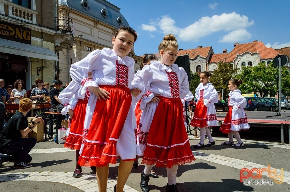 Carnaval european pe străzile Oradiei, Oradea