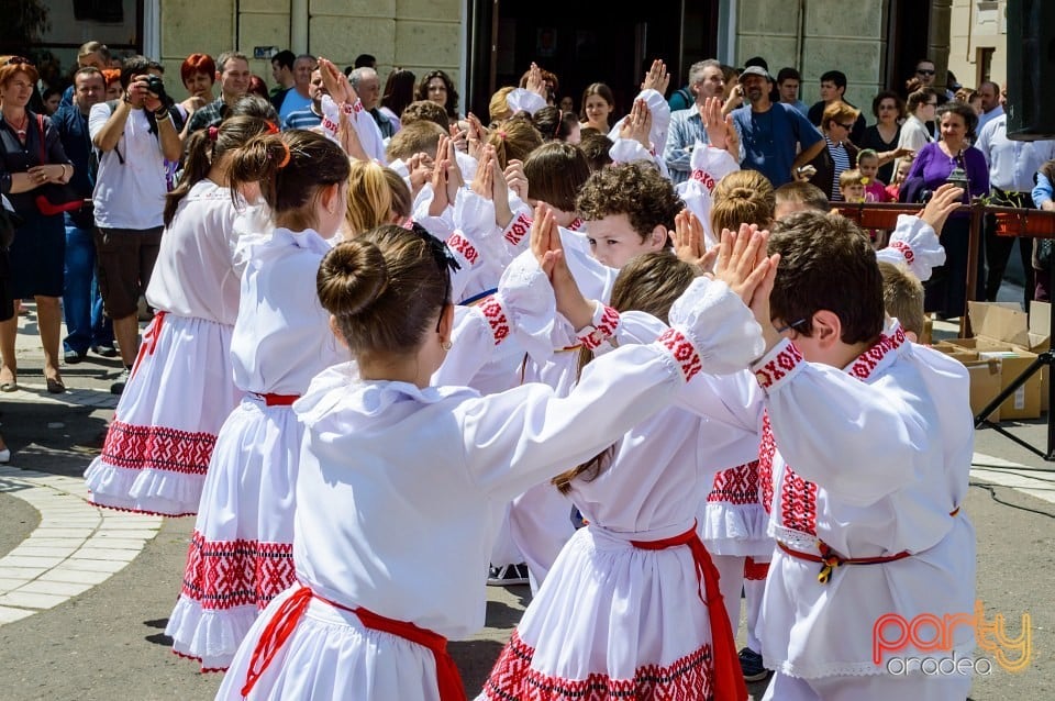 Carnaval european pe străzile Oradiei, Oradea