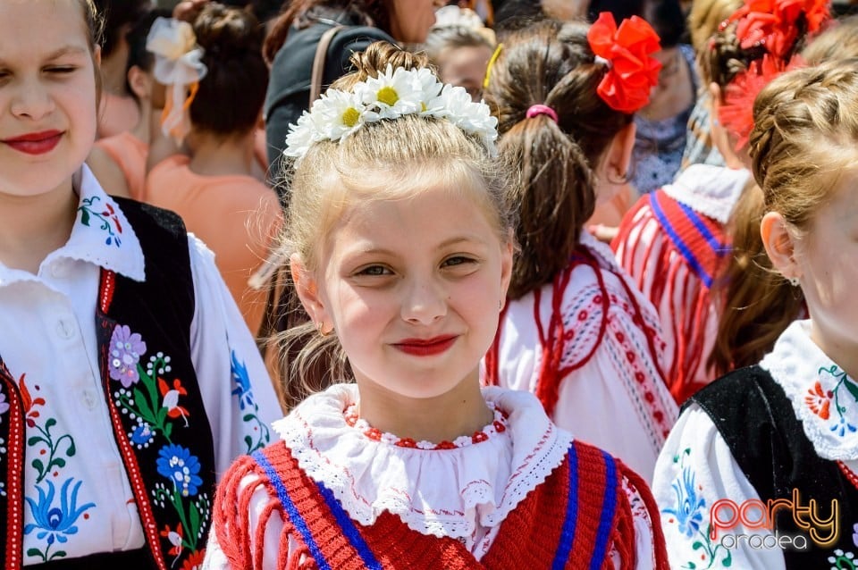 Carnaval european pe străzile Oradiei, Oradea