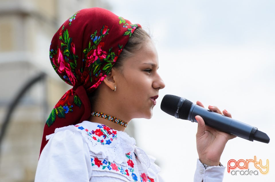 Carnavalul Florilor 2017, Oradea