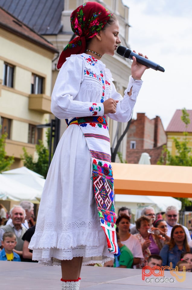 Carnavalul Florilor 2017, Oradea