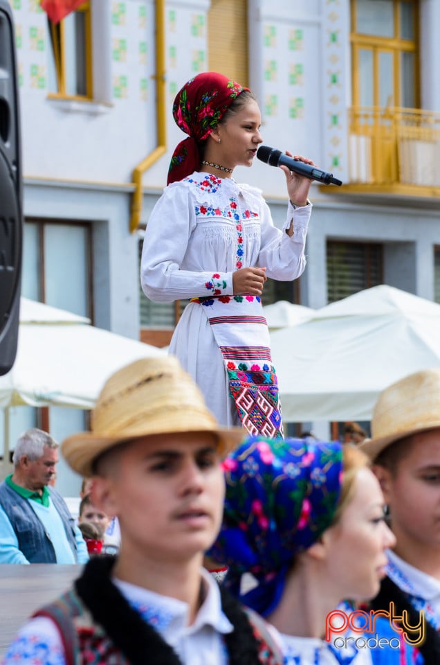 Carnavalul Florilor 2017, Oradea