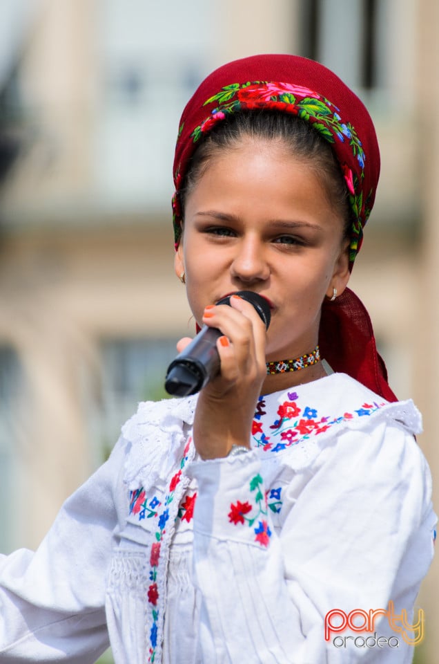 Carnavalul Florilor 2017, Oradea