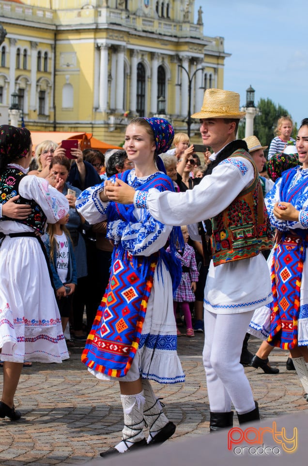 Carnavalul Florilor 2017, Oradea