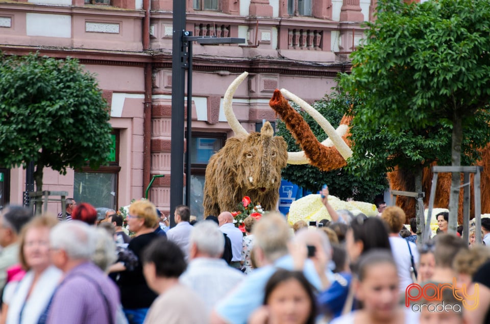 Carnavalul Florilor 2017, Oradea