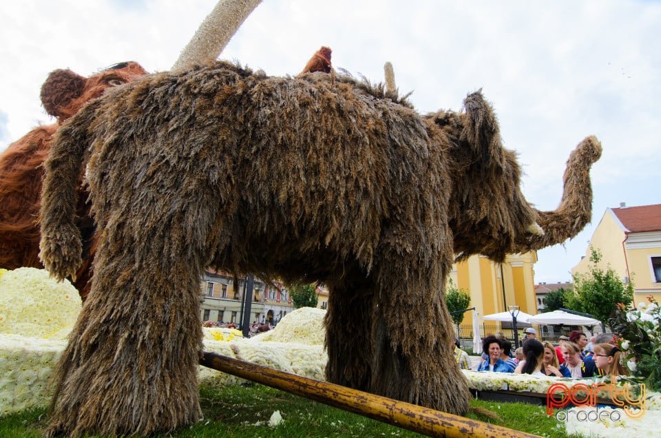 Carnavalul Florilor 2017, Oradea