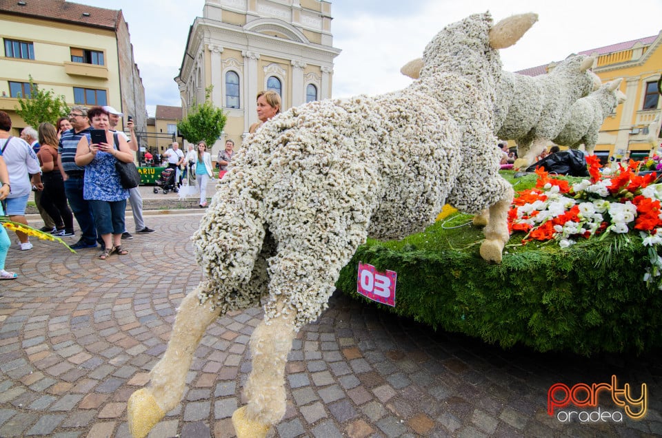 Carnavalul Florilor 2017, Oradea