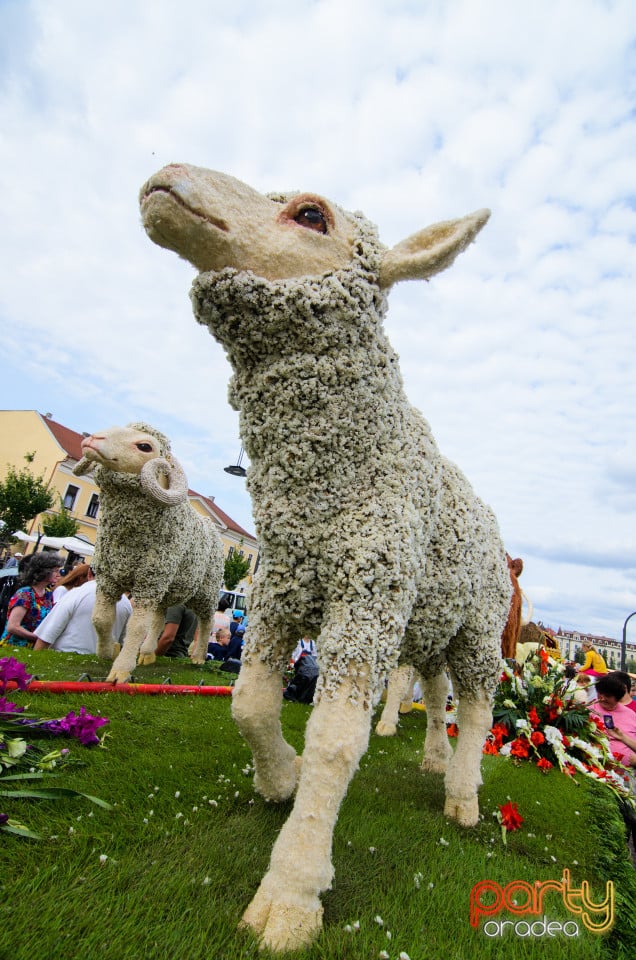 Carnavalul Florilor 2017, Oradea