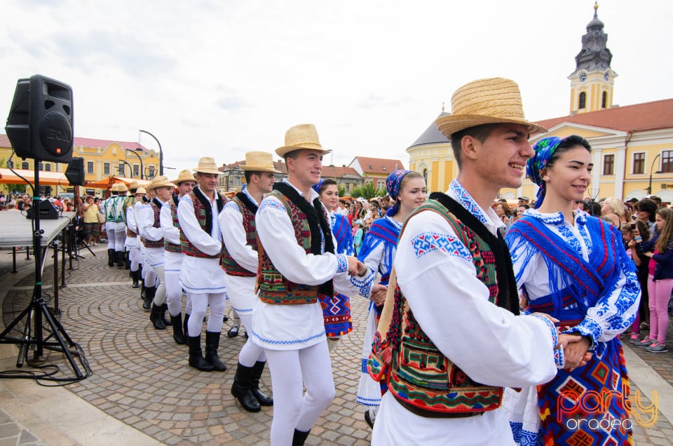 Carnavalul Florilor 2017, Oradea