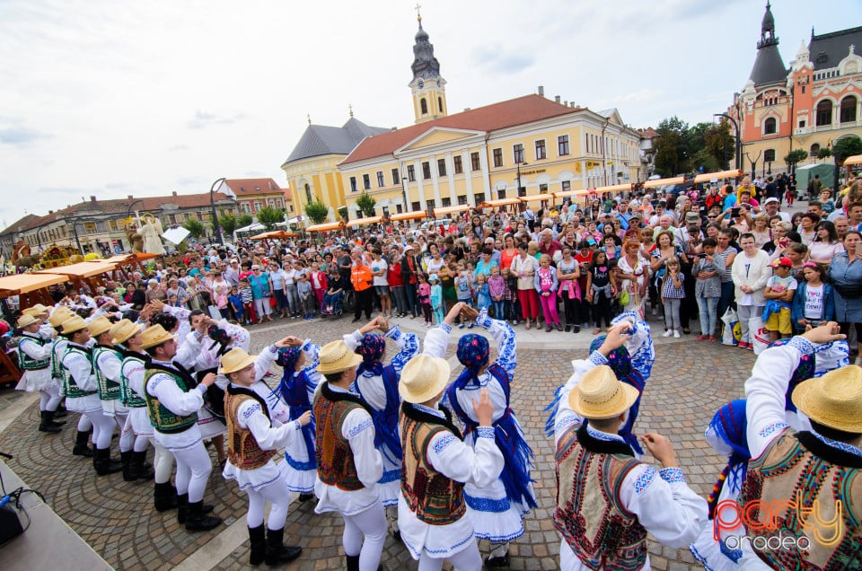 Carnavalul Florilor 2017, Oradea