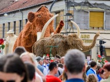 Carnavalul Florilor 2017