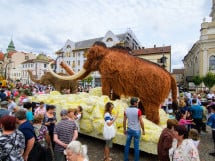 Carnavalul Florilor 2017