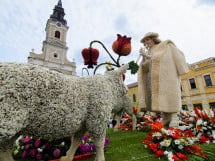 Carnavalul Florilor 2017