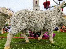 Carnavalul Florilor 2017