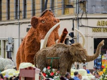 Carnavalul Florilor 2017