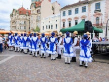 Carnavalul Florilor 2017