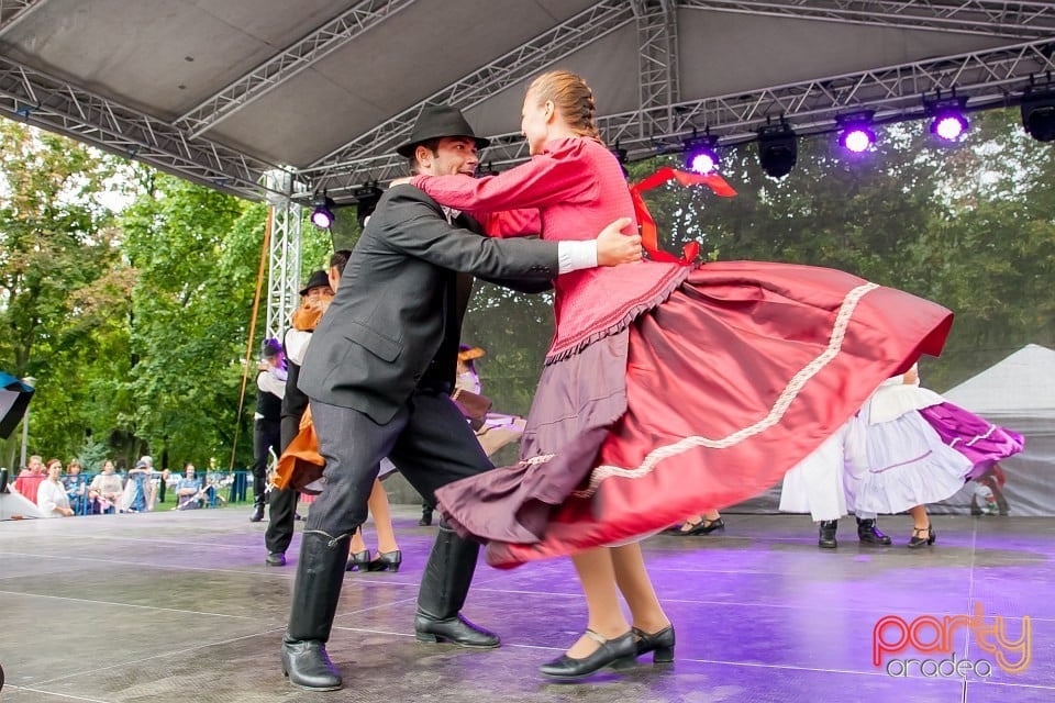 Carnavalul Florilor, Oradea