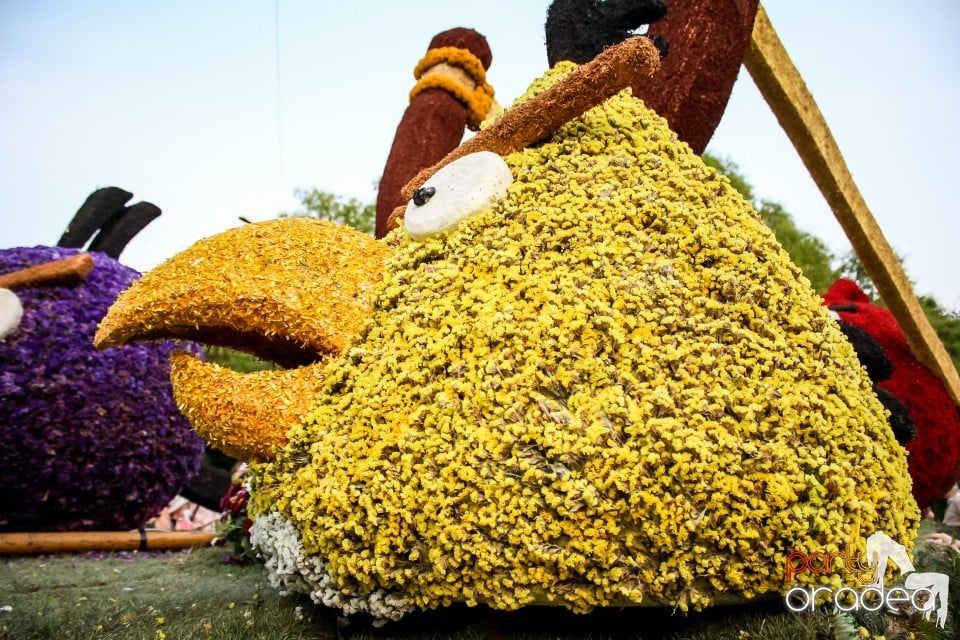 Carnavalul Florilor, Oradea