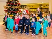 Christmas Show la Oradea Shopping City