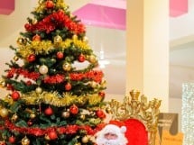 Christmas Show la Oradea Shopping City