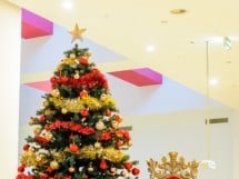 Christmas Show la Oradea Shopping City